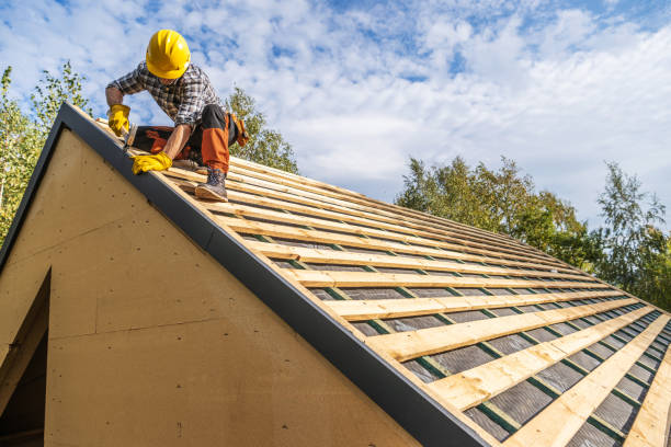 Best Roof Gutter Cleaning  in Cedar Bluff, AL
