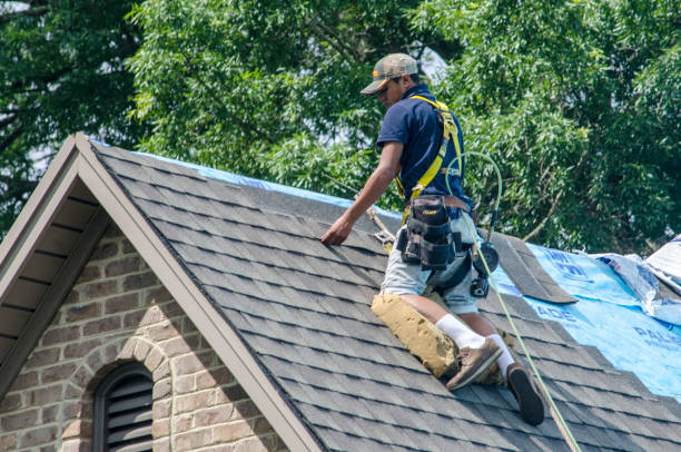 Best Storm Damage Roof Repair  in Cedar Bluff, AL